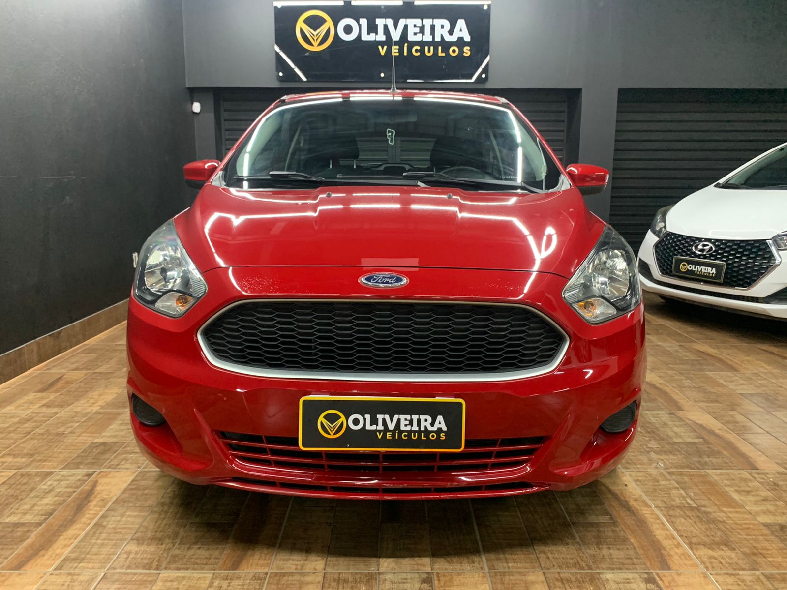 WhatsApp Image 2026-01-29 at 14.34.57 (2)